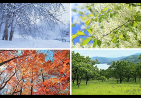 Tax tips for seasonal businesses — planning and paperwork during off-season