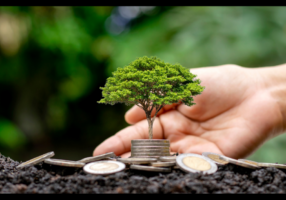CFO insights for business growth